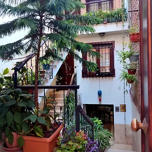 Sphendone **** Provincia di Istanbul